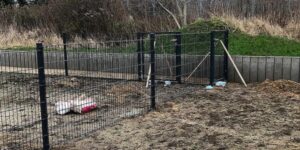 Zaunanlagen aus Stabmatten